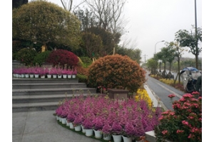 瀘州佳樂(lè)世紀(jì)城歡樂(lè)匯二期及前廣場(chǎng)室外景觀工程