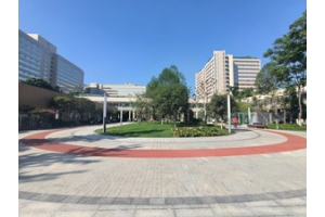 四川大學華西醫院景觀綠化改造工程